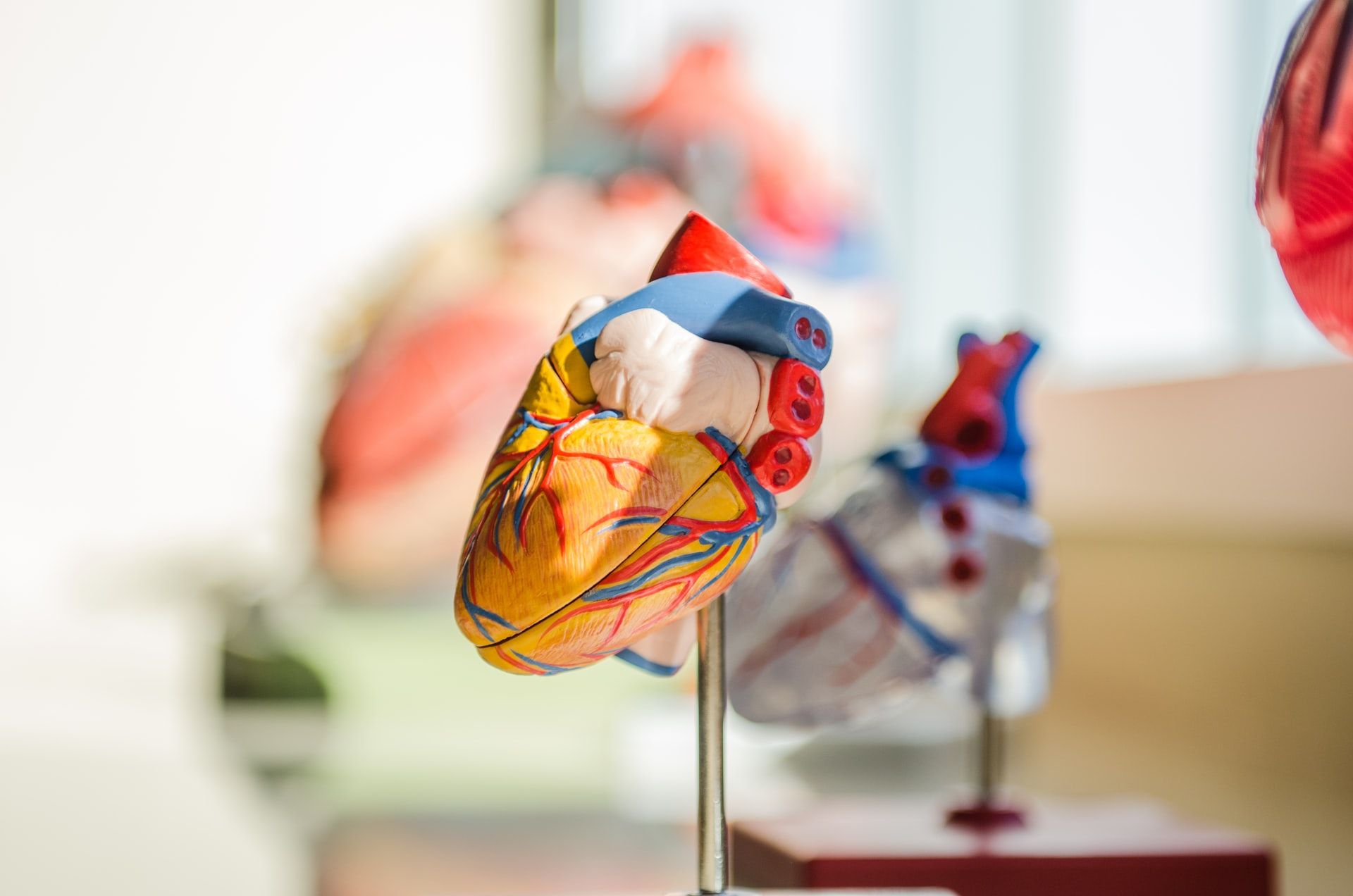 all-about-cardiac-electrophysiologists-in-new-york